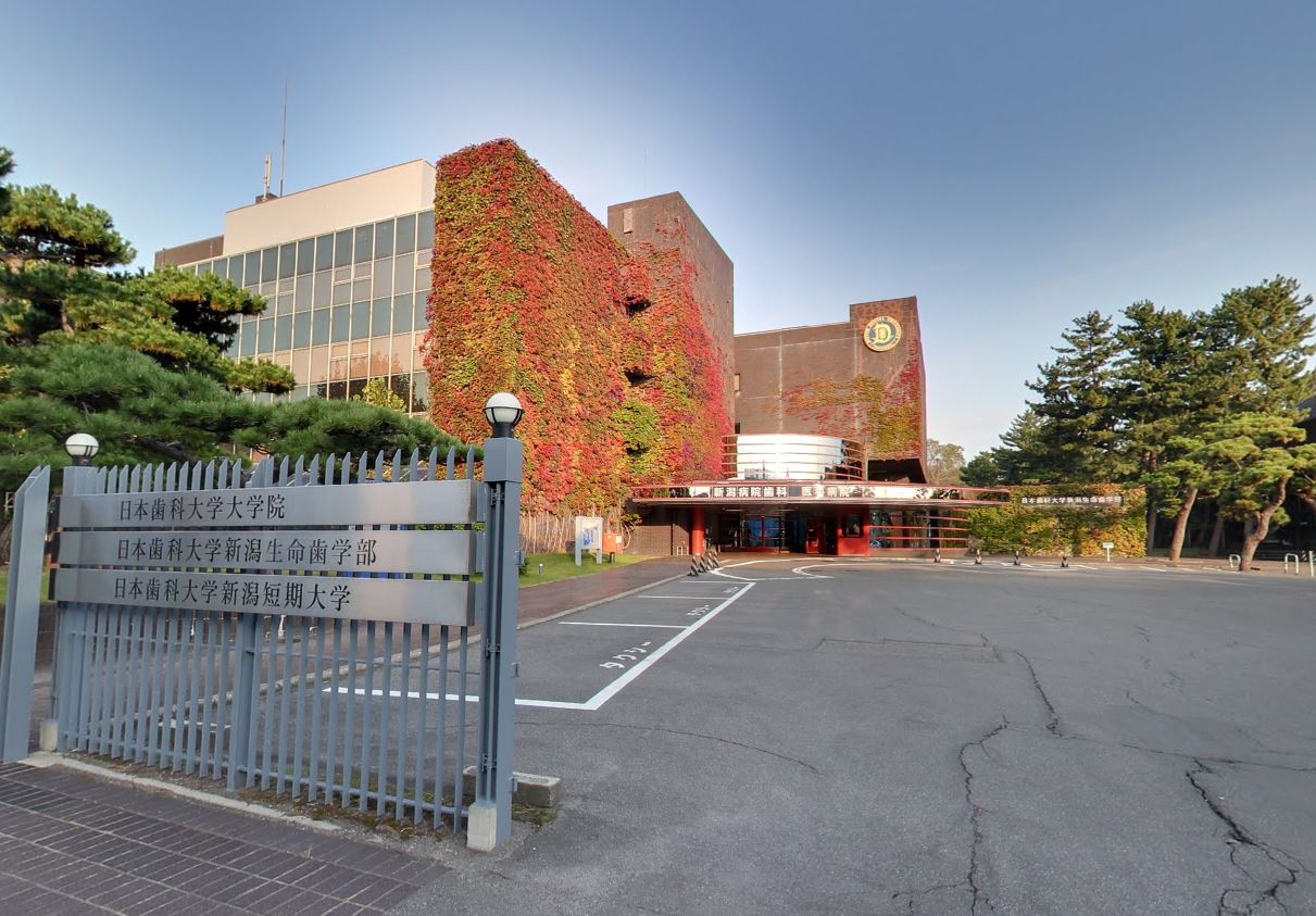SAKASU　SHONAN 大学・短大