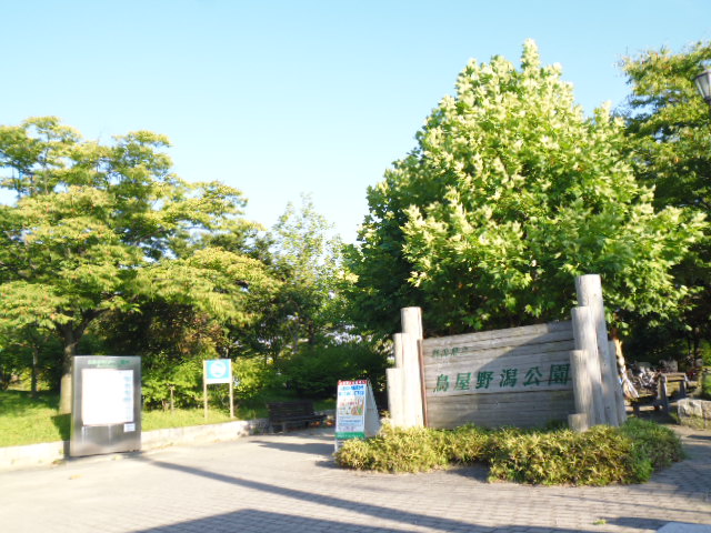 ピュア女池B棟 公園