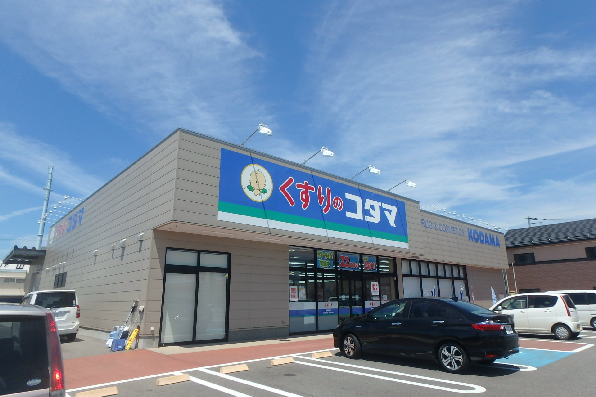 ヌーベルシティ鳥屋野　B棟 ドラッグストア