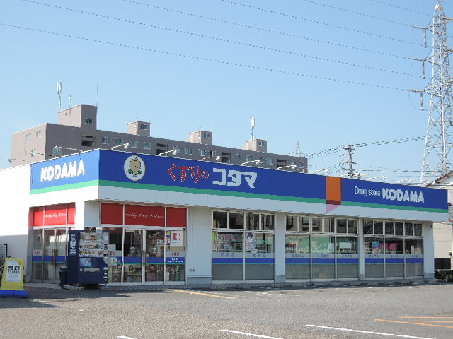 BUENA南出来島 ドラッグストア