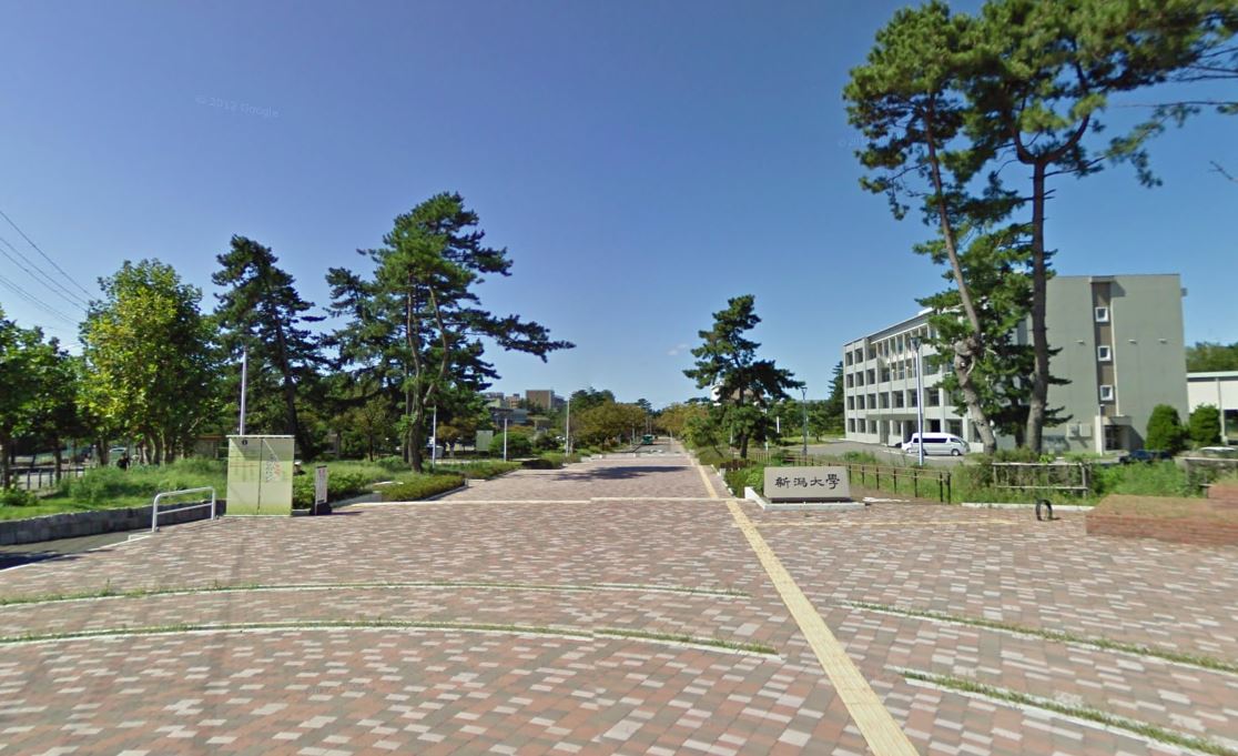 ウイング 大学・短大